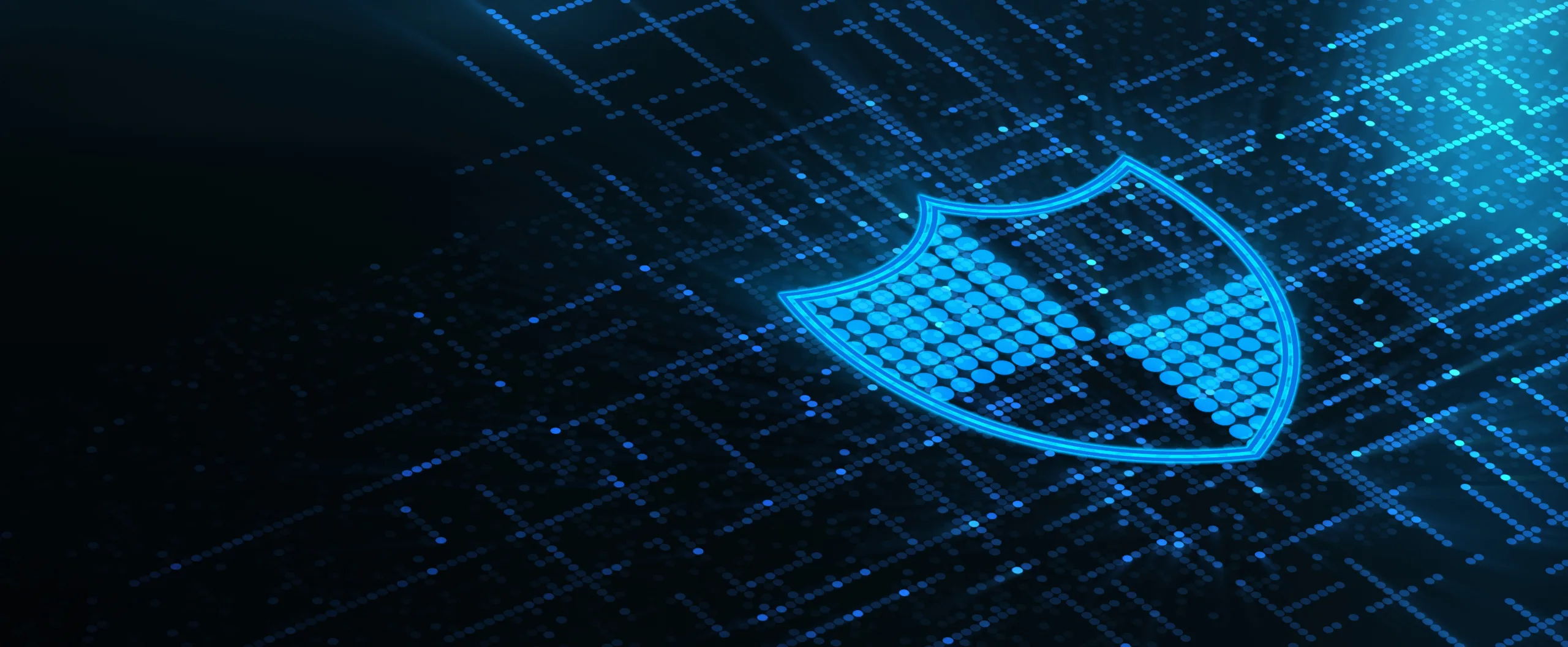 privacy policy websitecontentwriters.org